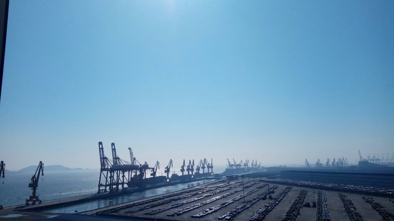 洞见行业新动态：东港贸易公司的成长之路